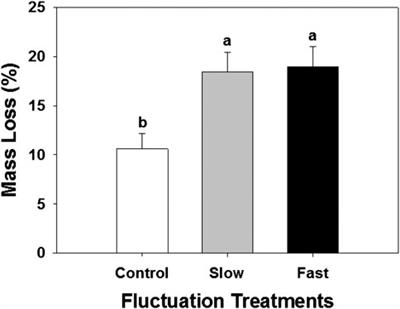 Water Table Fluctuation in Peatlands Facilitates Fungal Proliferation, Impedes Sphagnum Growth and Accelerates Decomposition